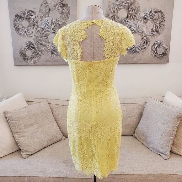 BB Dakota Jayce Lace Sheath Cocktail Dress size 8 in Citrus - NEW - Picture 7 of 14